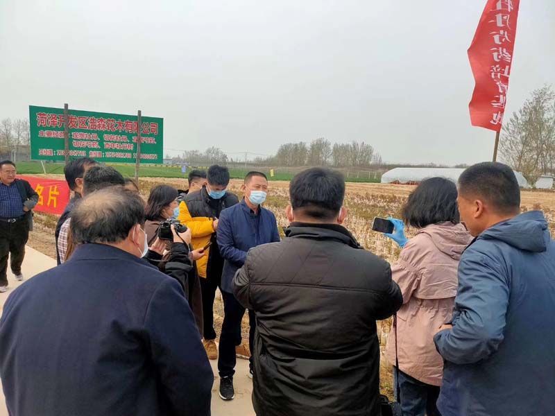市牡丹產(chǎn)業(yè)中心、市宣傳部的領導及各大媒體來公司基地考察指導工作