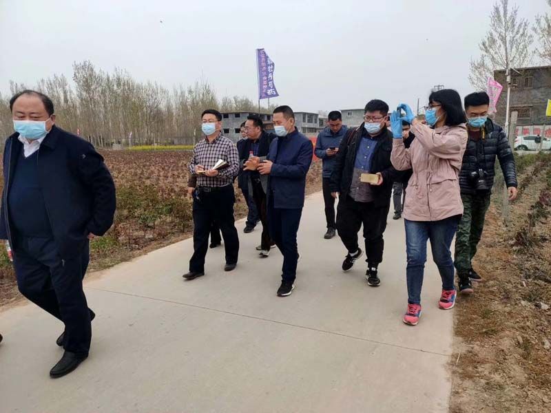 市牡丹產(chǎn)業(yè)中心、市宣傳部的領導及各大媒體來公司基地考察指導工作